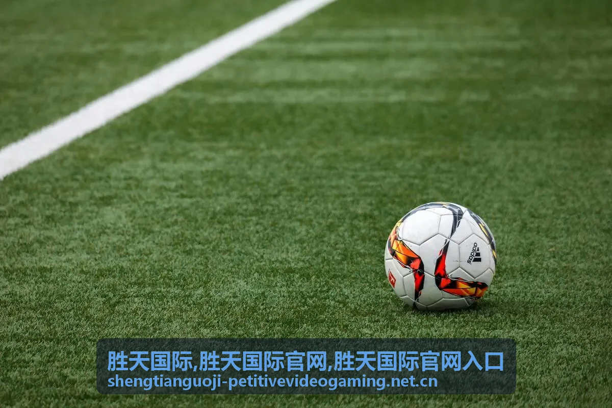胜天国际官网入口核对指南